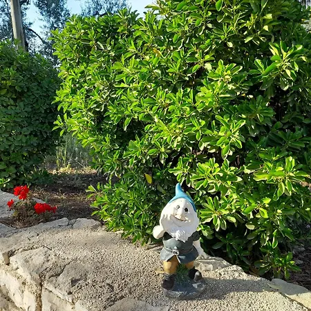 Hakuna Matata *