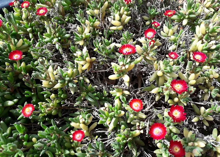 빌라 Hakuna Matata *