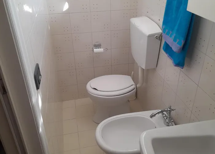 Hakuna Matata 안드리아