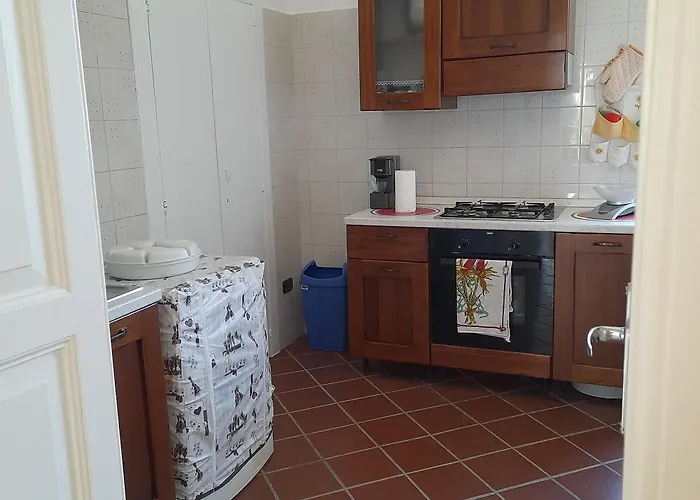 Hakuna Matata 안드리아